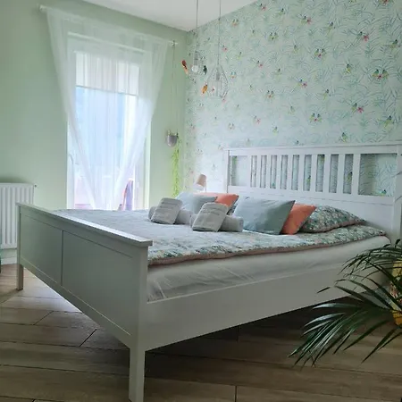 公寓 Sun House Sauna Kominek Skrzyczne 什切尔克